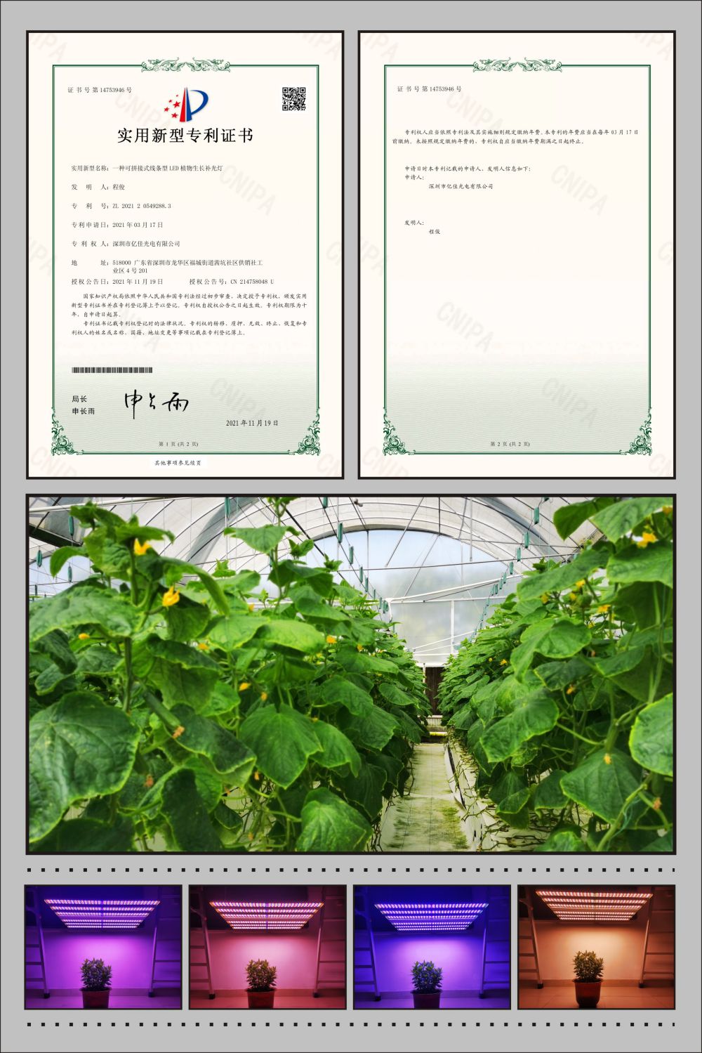 一飞冲天300倍植物农场灯实用新型专利